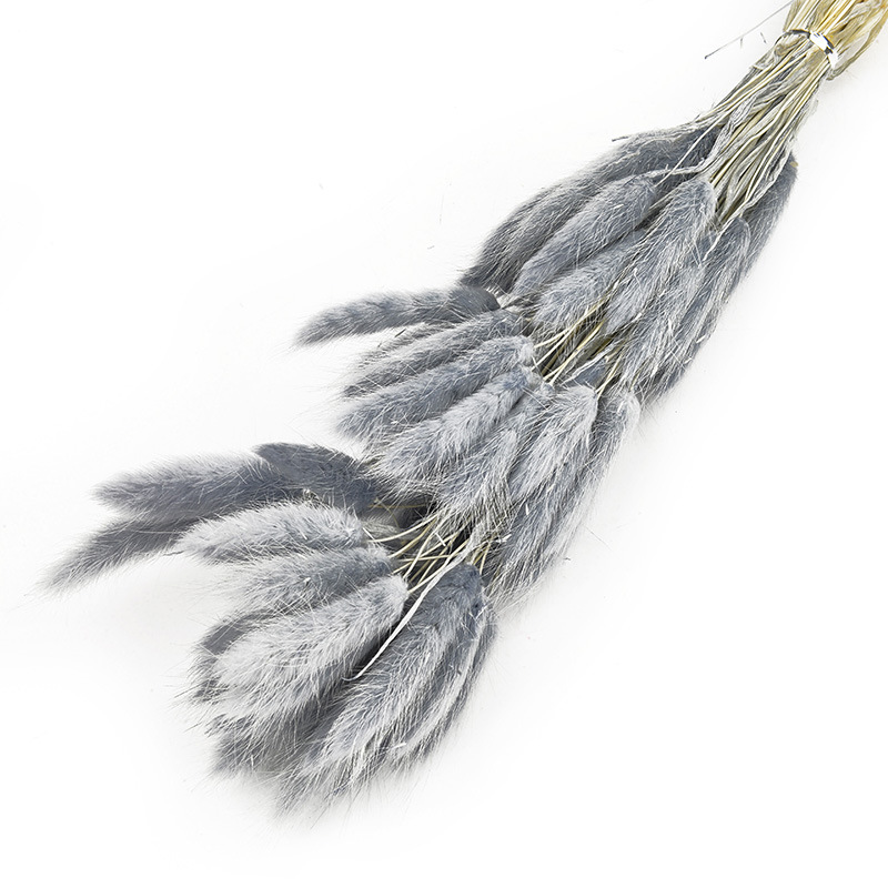 兔尾草干花真花永生花满天星干花花束批发家居装饰插花拍摄道具                               详情16