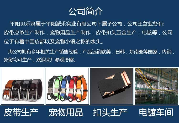 Relief dog tag, identity tag, anti-loss tag, engraved pet pure copper plate, golden retriever bullfight, Husky tag wholesale pic 2