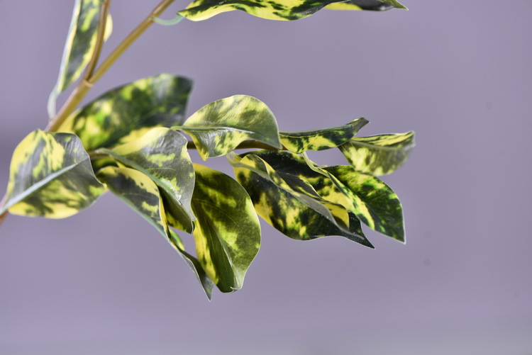 Wholesale of high-end flower and leaf materials for Huazhi Artificial Plants, wedding, hotel, living room artificial leaves, window display and landscaping green plants pic 6