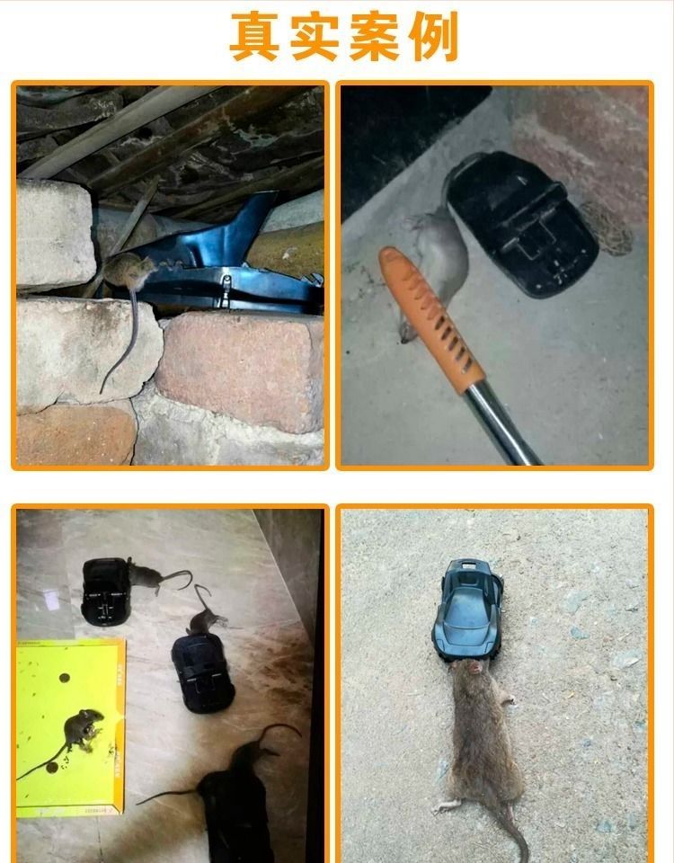 Rat trap, household rat killer, clip, fully automatic one-nest, end trap, sticky rat board, tear and stick, tear and stick, others pic 16