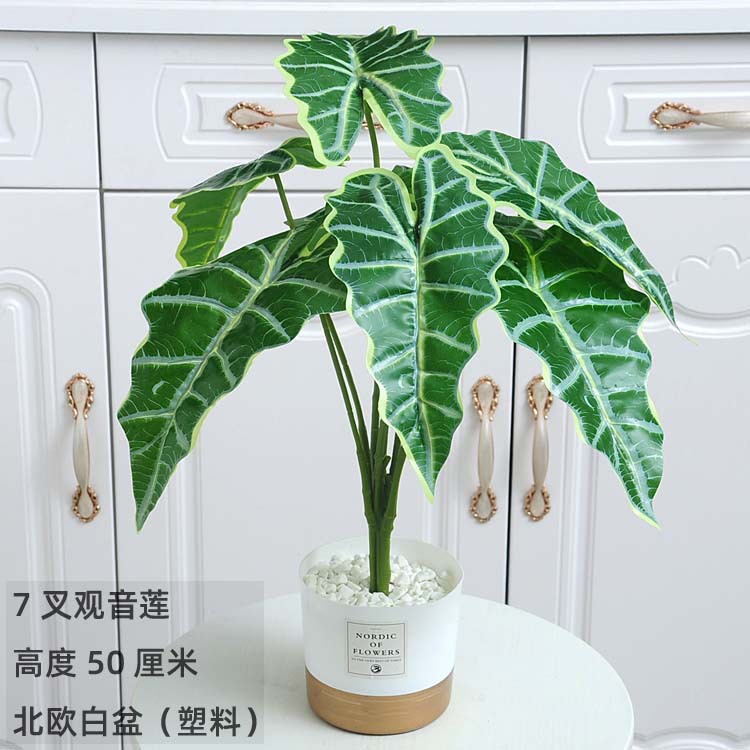 7叉观音莲