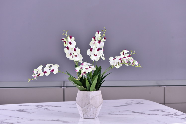 Factory direct sales of high-end artificial dendrobium, wholesale of artificial flowers with leaves, home decoration of Phalaenopsis and Lanjin artificial plants pic 24