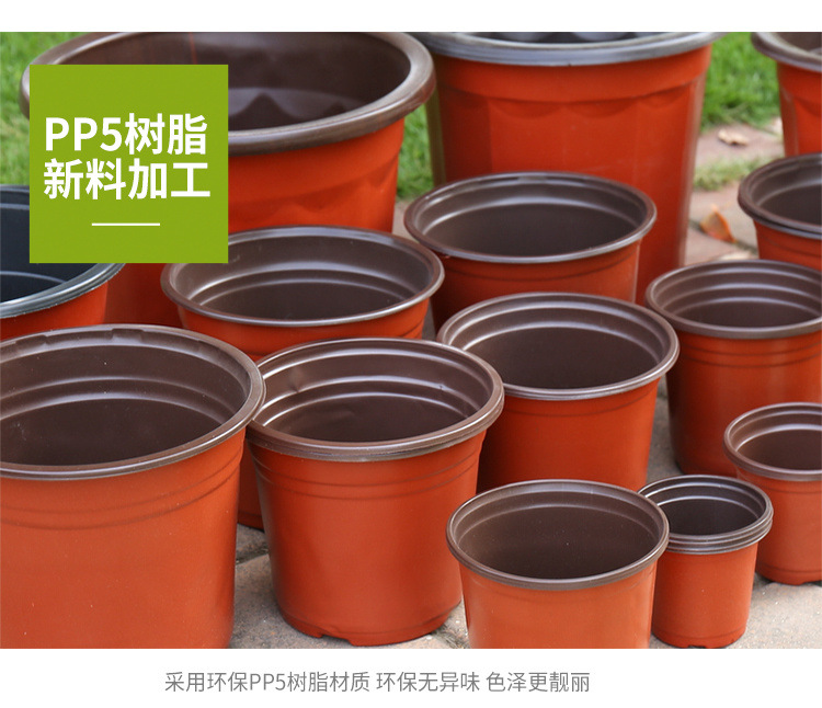 一次性育苗盆双色盆钵塑料简易花盆软塑料育苗双色花盆种植盆包邮详情8