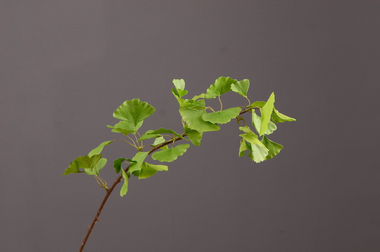 Dongli yellow artificial leaves, artificial ginkgo leaves, artificial trees, engineering landscaping, wedding decoration, artificial branches, Nordic artificial plant leaves pic 9