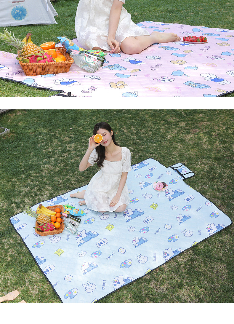 春游野餐垫防潮户外露营便携防水加厚野炊郊游地垫草坪沙滩垫现货详情18