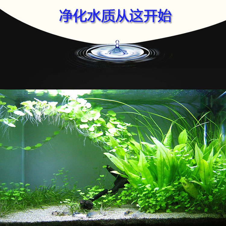 鱼缸过滤陶瓷环水族箱滤材生化环玻璃细菌屋硝化陶瓷环厂家批发详情11