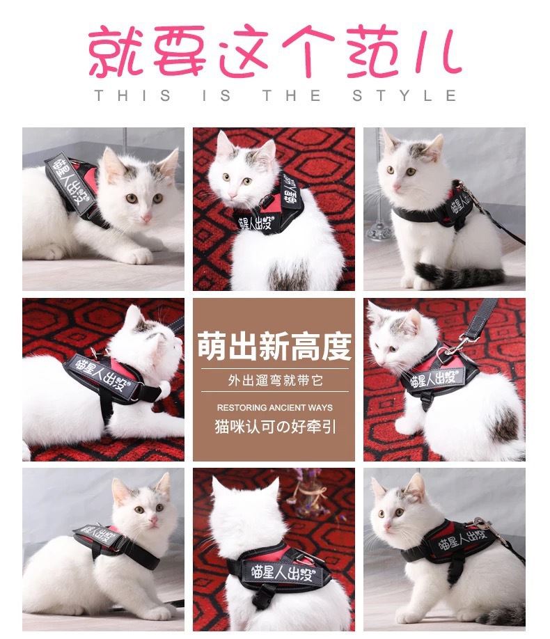 Cat and dog pet chest and back straps, dog supplies, pet leashes, dog chains, cat supplies pic 9