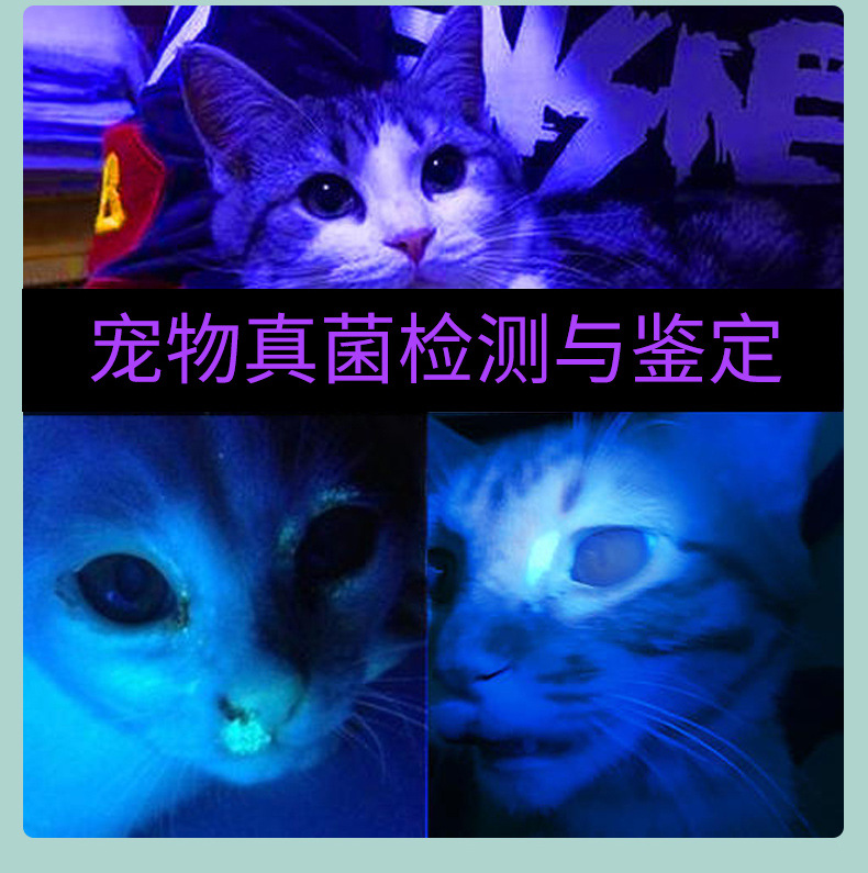 USB直充不锈钢迷你充电手电激光图案紫光逗猫棒猫癣自嗨猫咪用品详情10