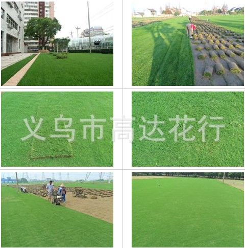 Artificial putting green grass, artificial football grass, artificial turf, artificial grass, special grass for kindergartens, and leisure grass pic 27