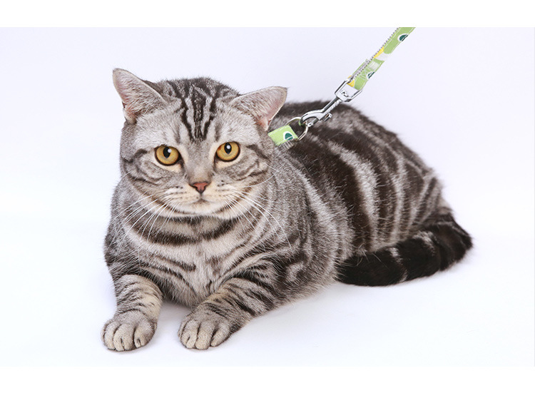 Pet supplies, pet supplies, pet cat leash, fresh and clean printed cat carrier, adjustable leash, anti-escape cat leash, cat walking leash pic 14