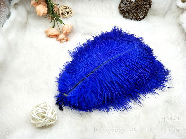 Colorful ostrich feathers 15-20cm, mask feathers, DIY accessories, wedding decoration props, ear-picking accessories, colorful feathers pic 47