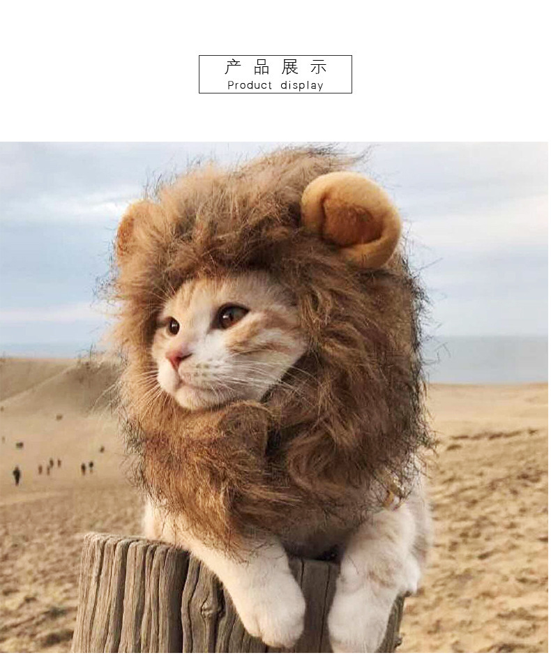 Pet hats, fun and funny, cute cat hats, durable, funny lion head covers, dog accessories, pet head ornaments pic 10