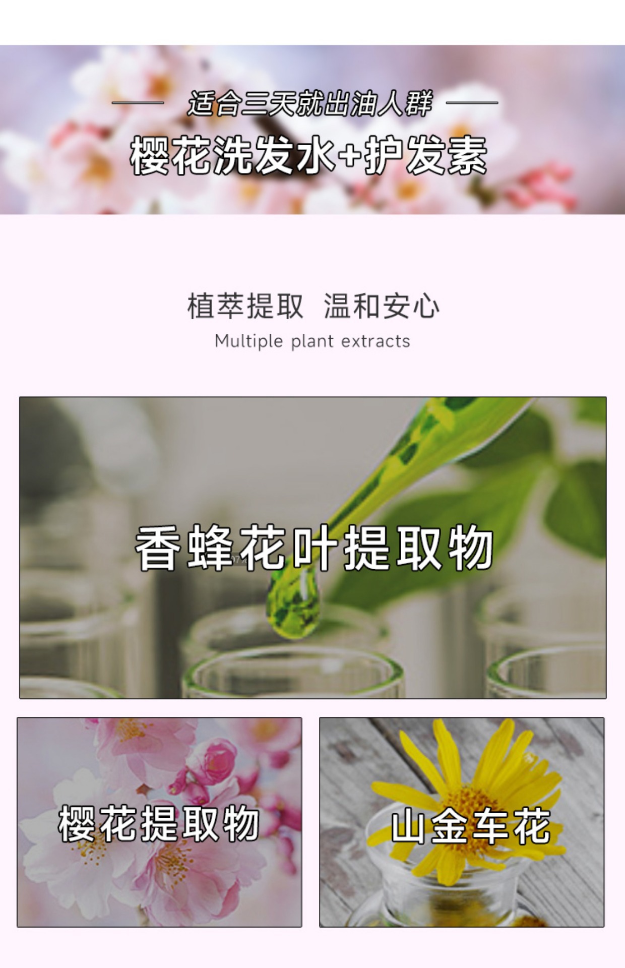 日本claynal蓬派 氨基酸蓬松控油清爽去屑洗发水护发素套装批发详情8