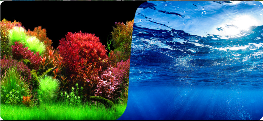 60cm double-sided thick fish tank background painting aquarium decoration background painting can be customized for multiple types of aquariums pic 10