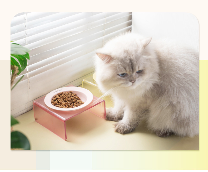 Wholesale of flying saucer pet bowls, ceramic dog and cat bowls without black chins, cat and dog food bowls, drinking water and slow food bowls pic 10