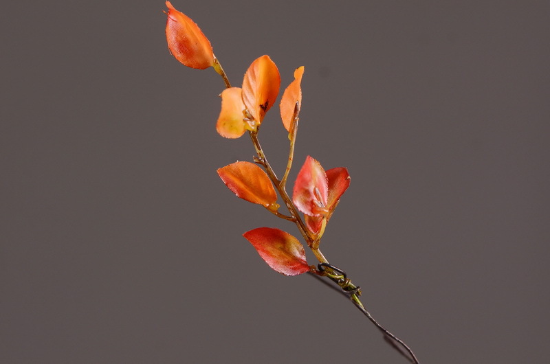 Flower Knowledge, simulating spring rain leaves, New Chinese-style Zen-inspired soft furnishings, flower leaf materials, simulating touch, autumn leaves, home decorations, floral art pic 13