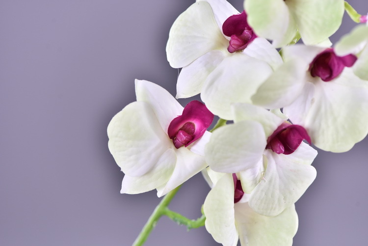 Factory direct sales of high-end artificial dendrobium, wholesale of artificial flowers with leaves, home decoration of Phalaenopsis and Lanjin artificial plants pic 8