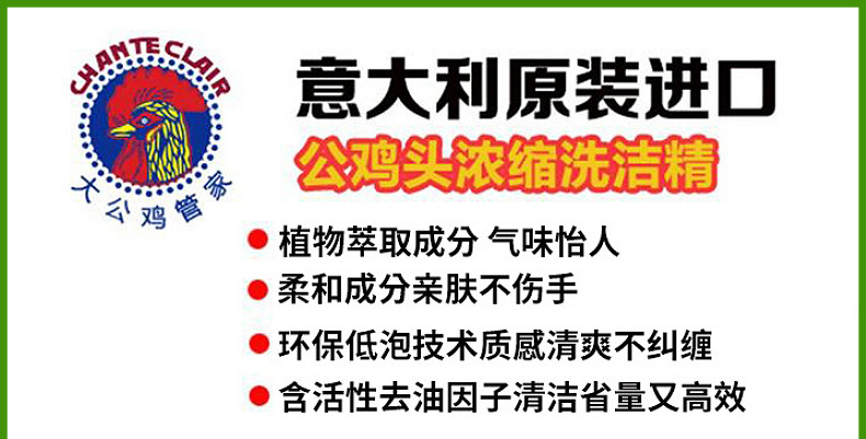 意大利进口清洁剂大公鸡清洁剂375ml 厨房强力去污除油剂现货批发详情9
