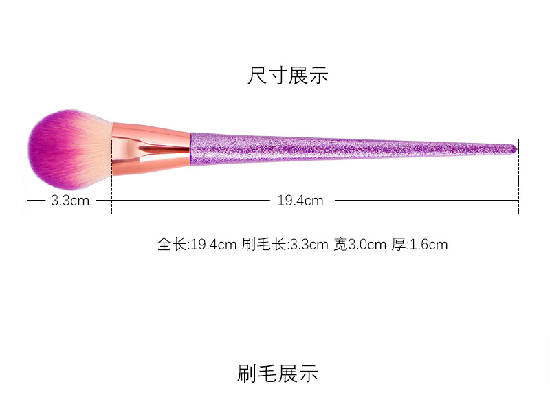 Single set of dazzling matte makeup brush, Starry powder blush brush, Amazon AliExpress cross-border trade stock shanilak pic 3