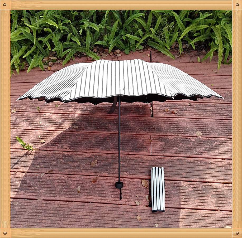 Factory direct sales of black and white striped vinyl umbrellas, Korean version of Apollo three-fold UV protection and sunshade sun umbrellas pic 6