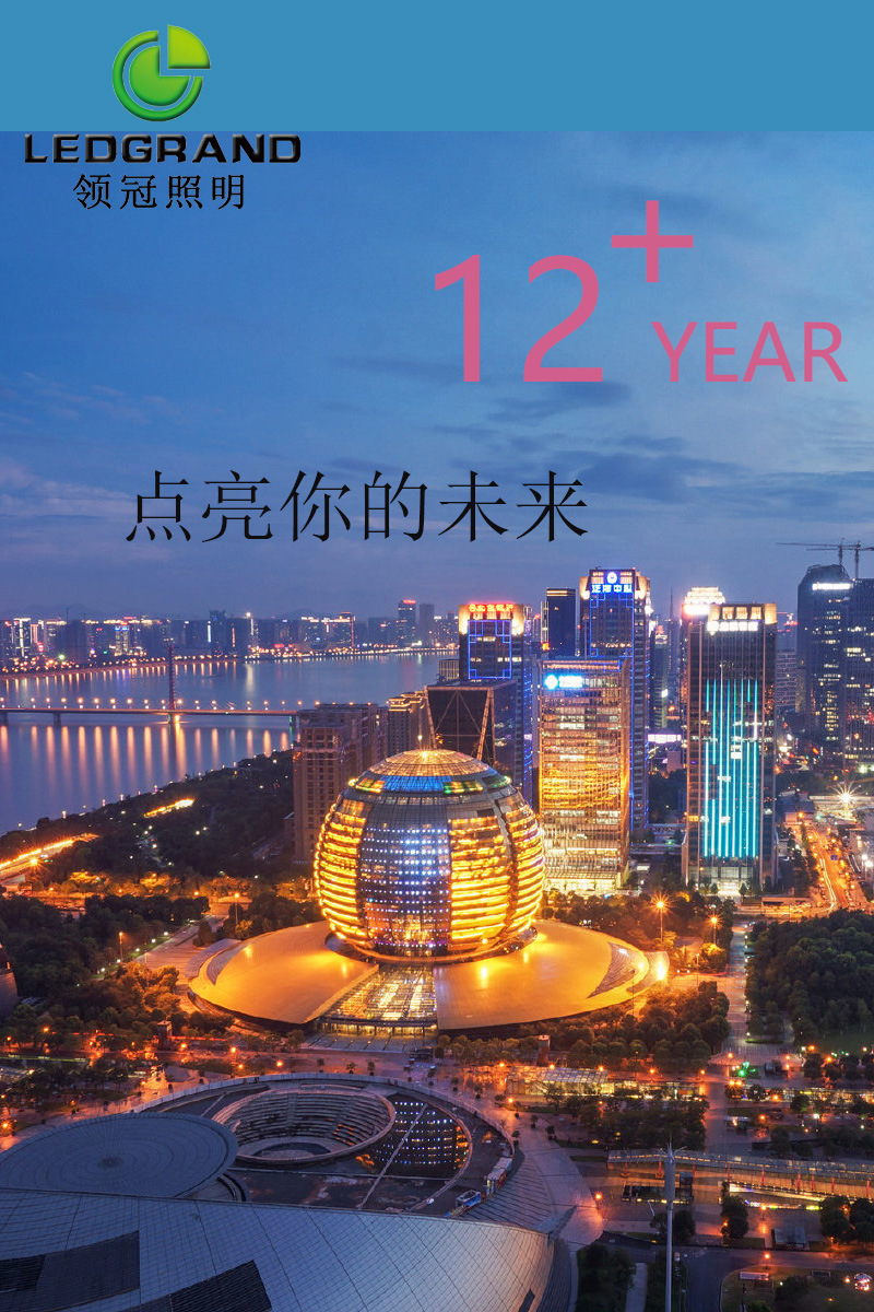 户外泛光灯工程室内外照明庭院灯高亮LED投光灯足功率高杆球场灯详情1