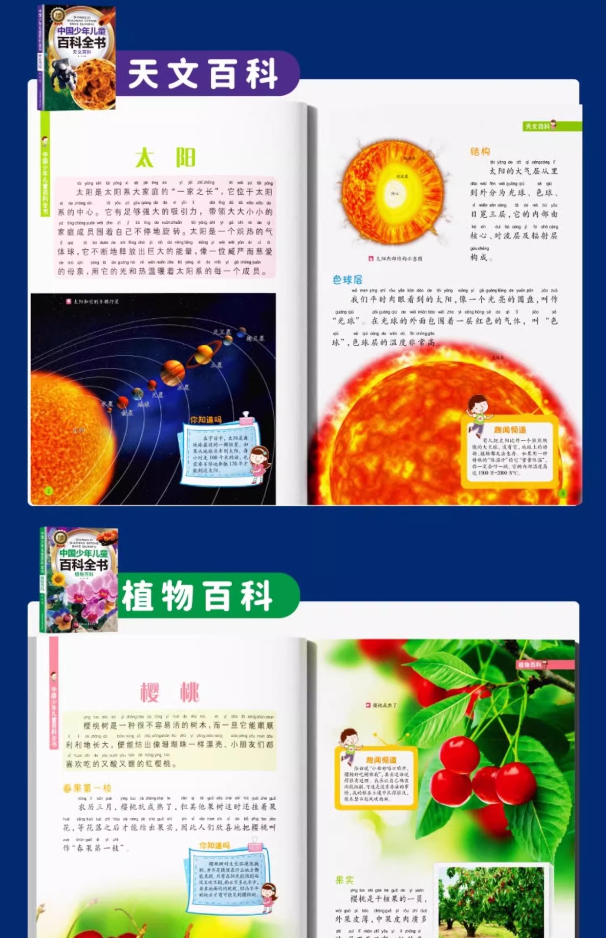 中国少年儿童百科全书全套10册注音版6-8-12岁青少年科普读物详情19