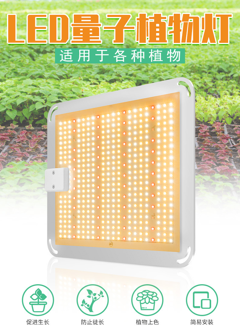 谦润照明100W植物灯LED80W多肉补光2000W温室灯大棚50W大功率400W详情2