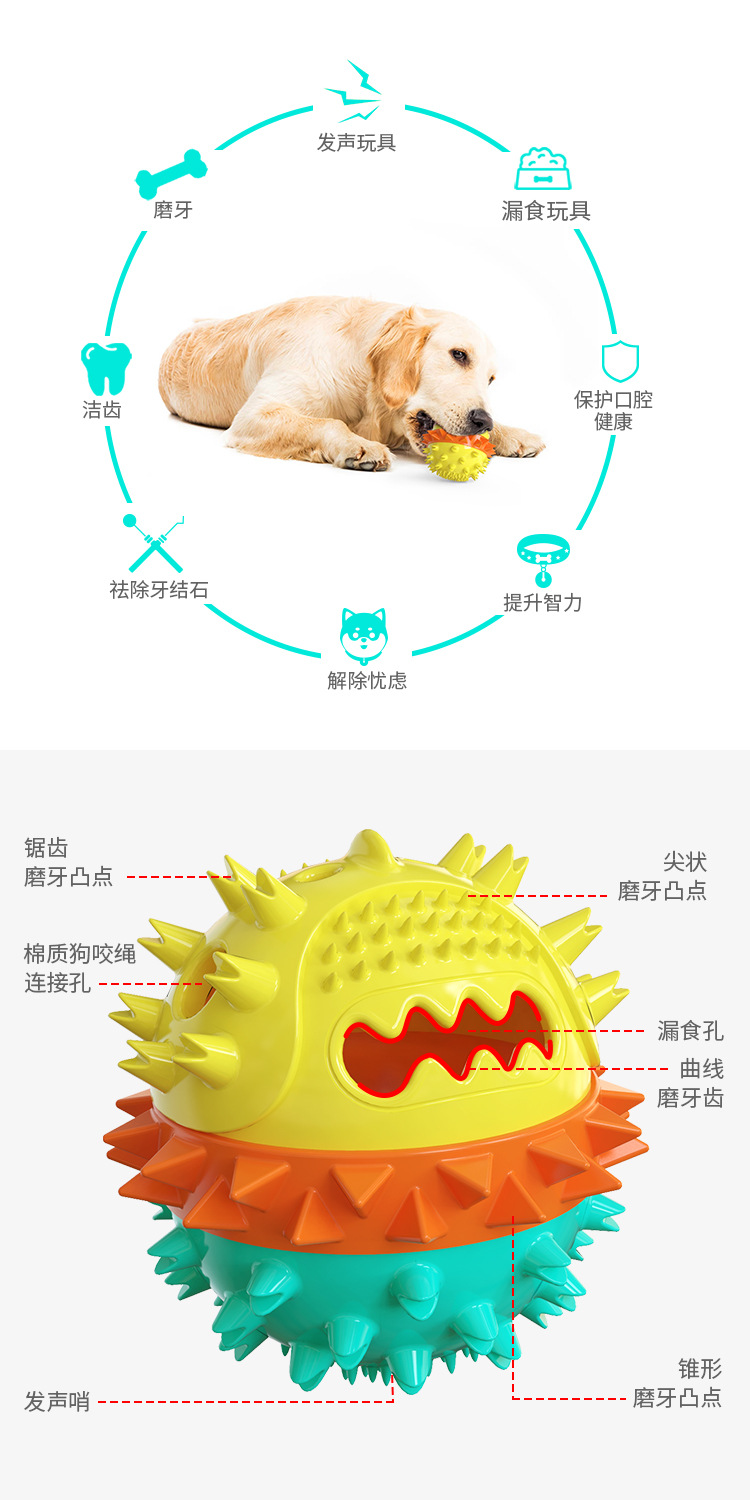 Amazon, a pet supplies manufacturer, offers floating dog teething sticks, sound-making dog toys, and pet toothbrushes pic 13