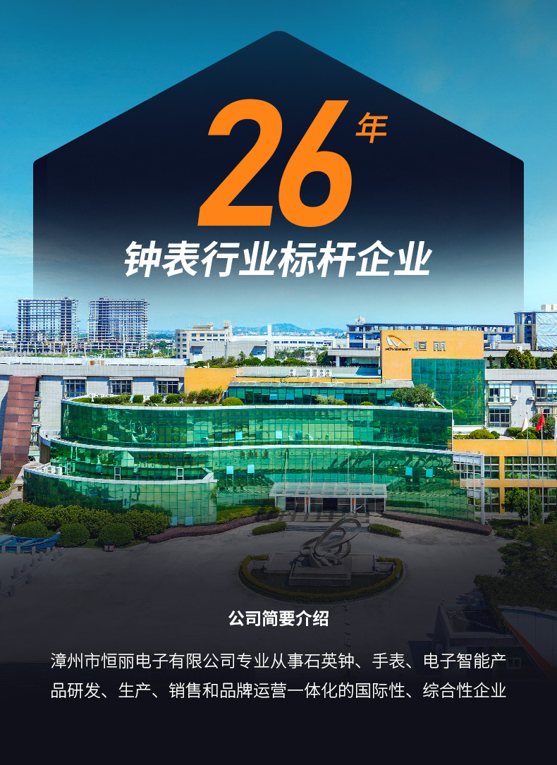 恒丽 静音家用挂钟客厅表墙上免打孔8寸10寸12寸时尚简约现代时钟详情1