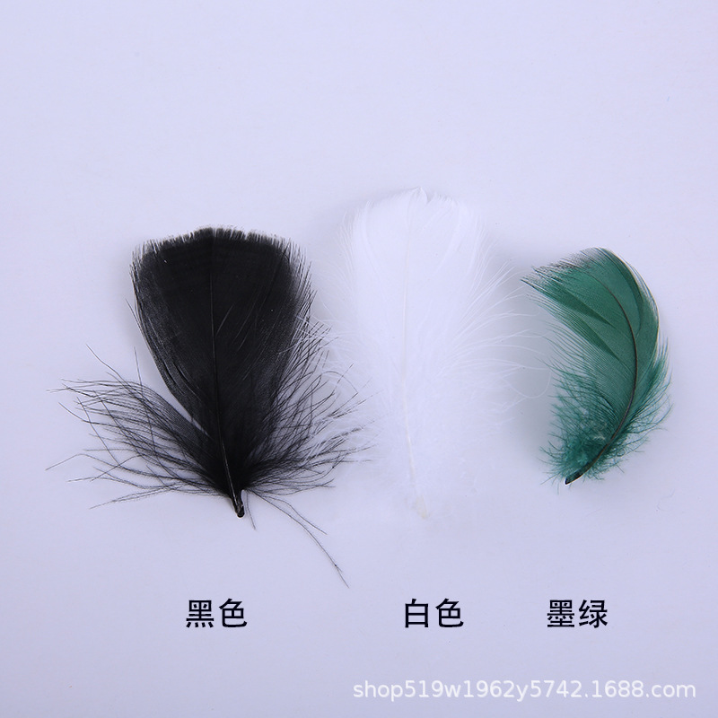 厂家直销优质天鹅毛 DIY彩色小飘羽毛 舞台服饰装饰辅料羽毛批发详情6