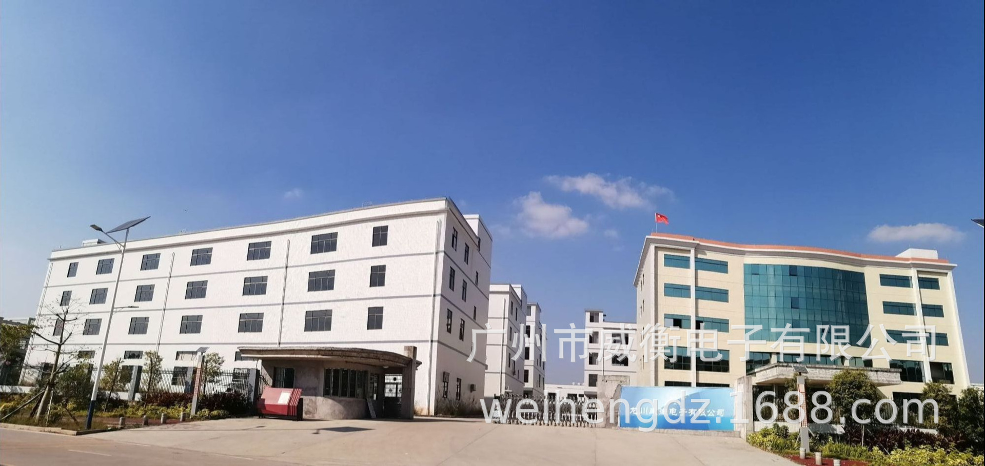 WeiHeng Keychain portable Scale WH-A21 mini Electronic Scale Mini electronic portable scale can weigh up to 25kg per jin pic 2