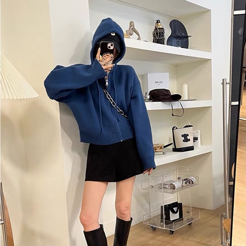 韩系设计感拉链连帽针织开衫女春秋新款宽松休闲短款慵懒毛衣外套详情30