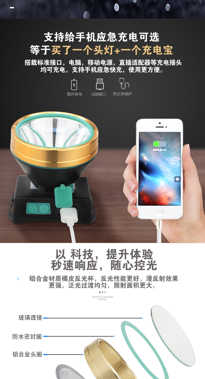厂家直销 LED强光头灯防水头戴式夜钓钓鱼灯可充电户外 感应头灯 pic 4