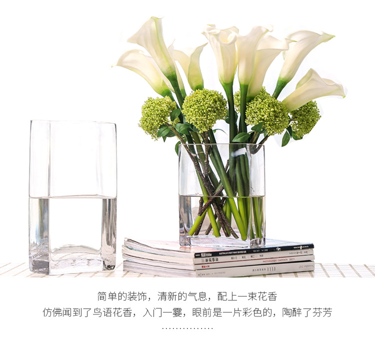 Square VAT glass vase, transparent hydroponic lucky bamboo lily, flat VAT square vase, floral art, living room flower arrangement ornaments pic 9