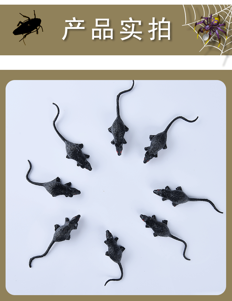 未标题-1-恢复的-拷贝_03.gif