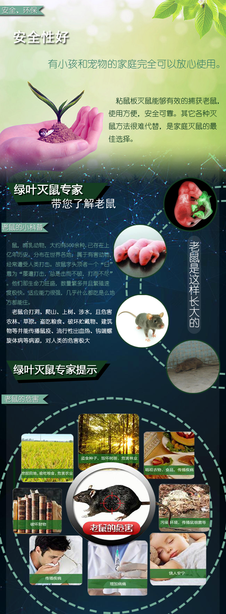 02115爱国_07.png