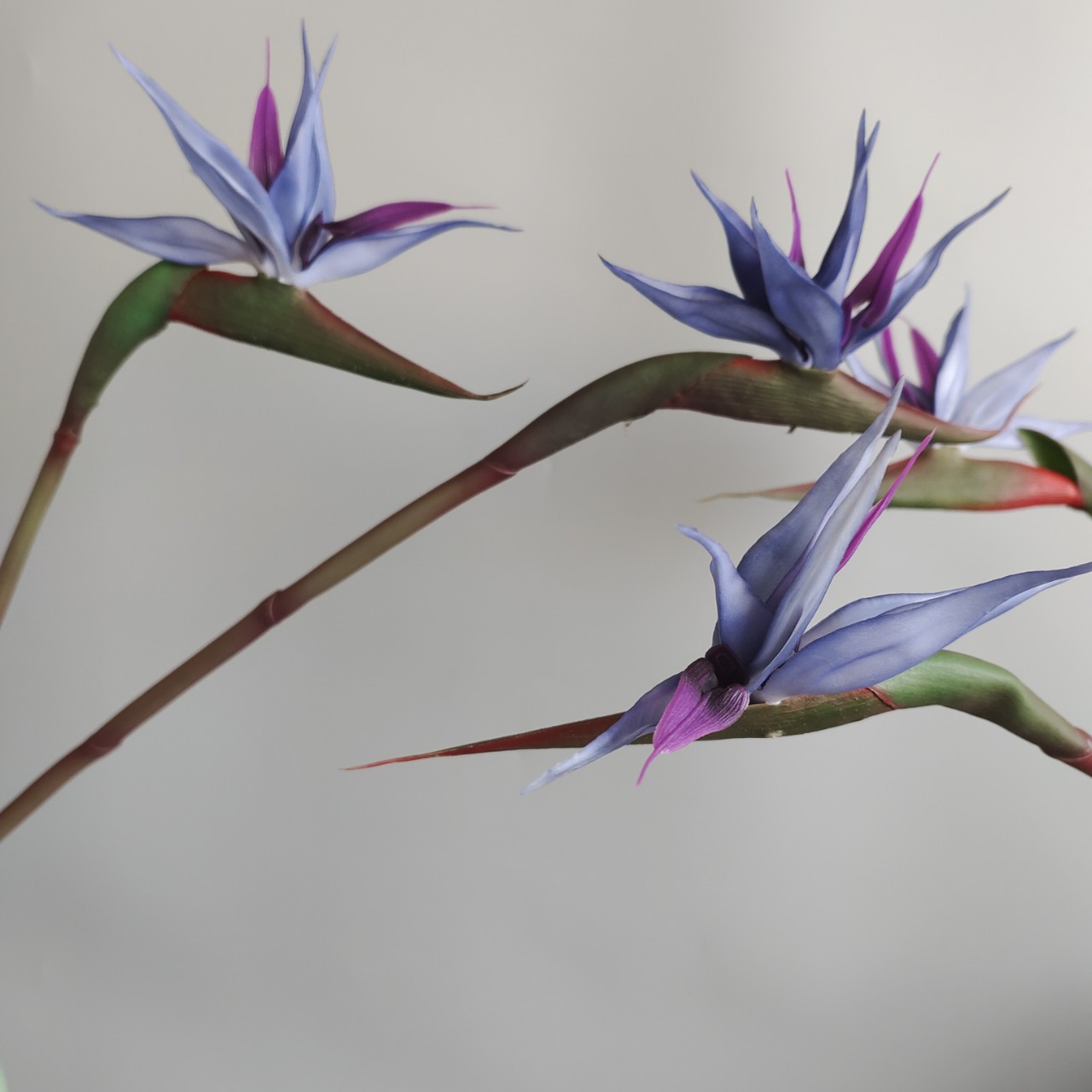 Soft rubber paradise Bird Crane Orchid New Chinese-style home model room decoration design, overseas wedding photography artificial flower pic 19