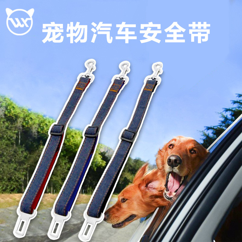 狗绳子防爆冲不勒手宠物牵引绳炫彩耐用加粗尼龙遛狗P链dog chain详情10