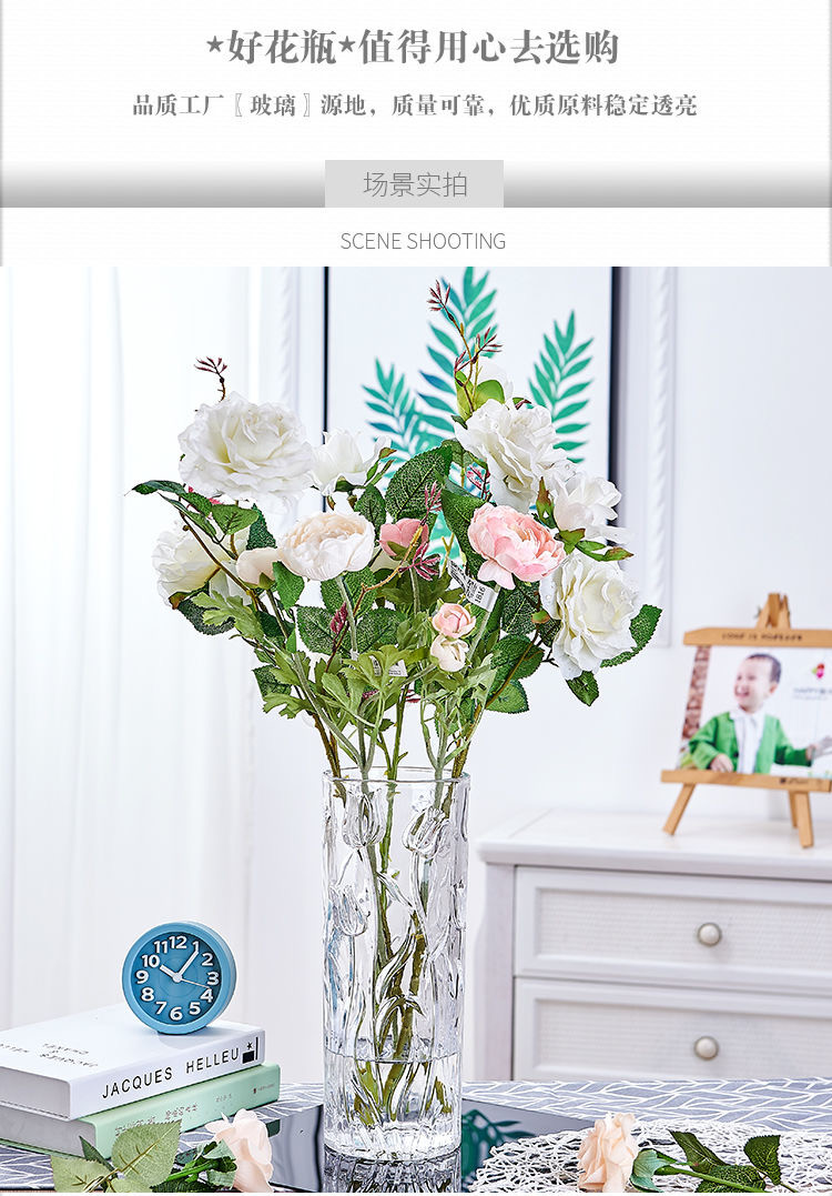 Yuxing Glass Large Glass Vase, transparent hydroponic decorative vessel, home living room lily and rose flower arrangement, hydroponic plant container pic 8