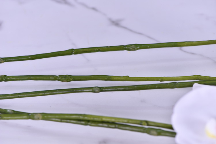 Factory supply of simulated Phalaenopsis, modern, simple and light luxury decoration, artificial flower touch, Phalaenopsis hand-painted soft decoration ornaments pic 13