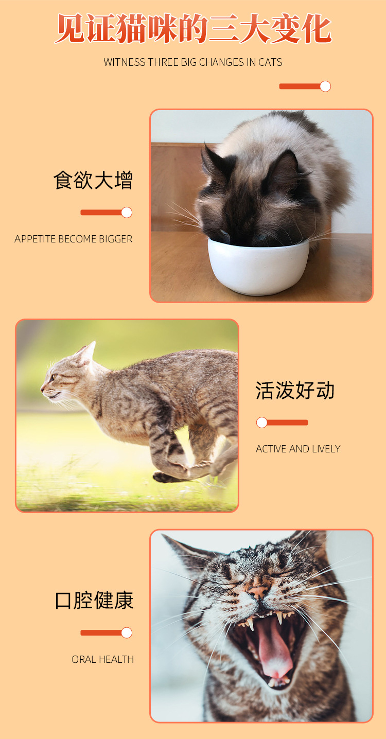 可爱逗猫耐咬自动逗猫健康安全宠物猫咪玩具尼龙仿真金鱼厂家直销详情5