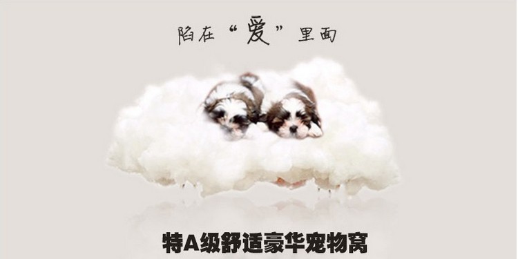 Wholesale of medium-sized flat-top dog cages and pet supplies from Yiwu Baojie Pet Supplies Wholesale pic 7