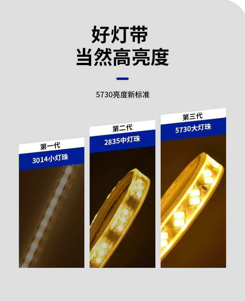 Three-color variable light strips, home color-changing, living room ceiling 220V outdoor waterproof long soft LED light strips pic 3