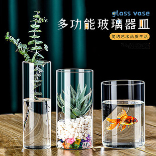 高硼硅直筒玻璃花瓶绿萝小鱼缸插花器水培景观花盆花瓶玻璃摆件详情2