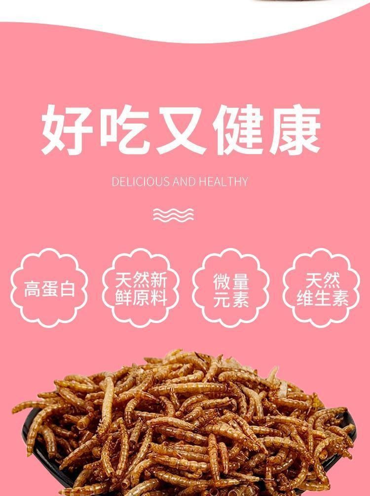宠物零食面包虫干仓鼠刺猬粮食小龟粮用品主粮鸟零食厂家直销批发详情5