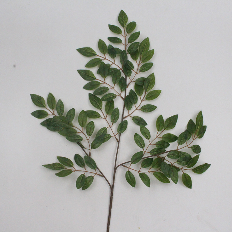 豆花叶三叉枝 (11).jpg