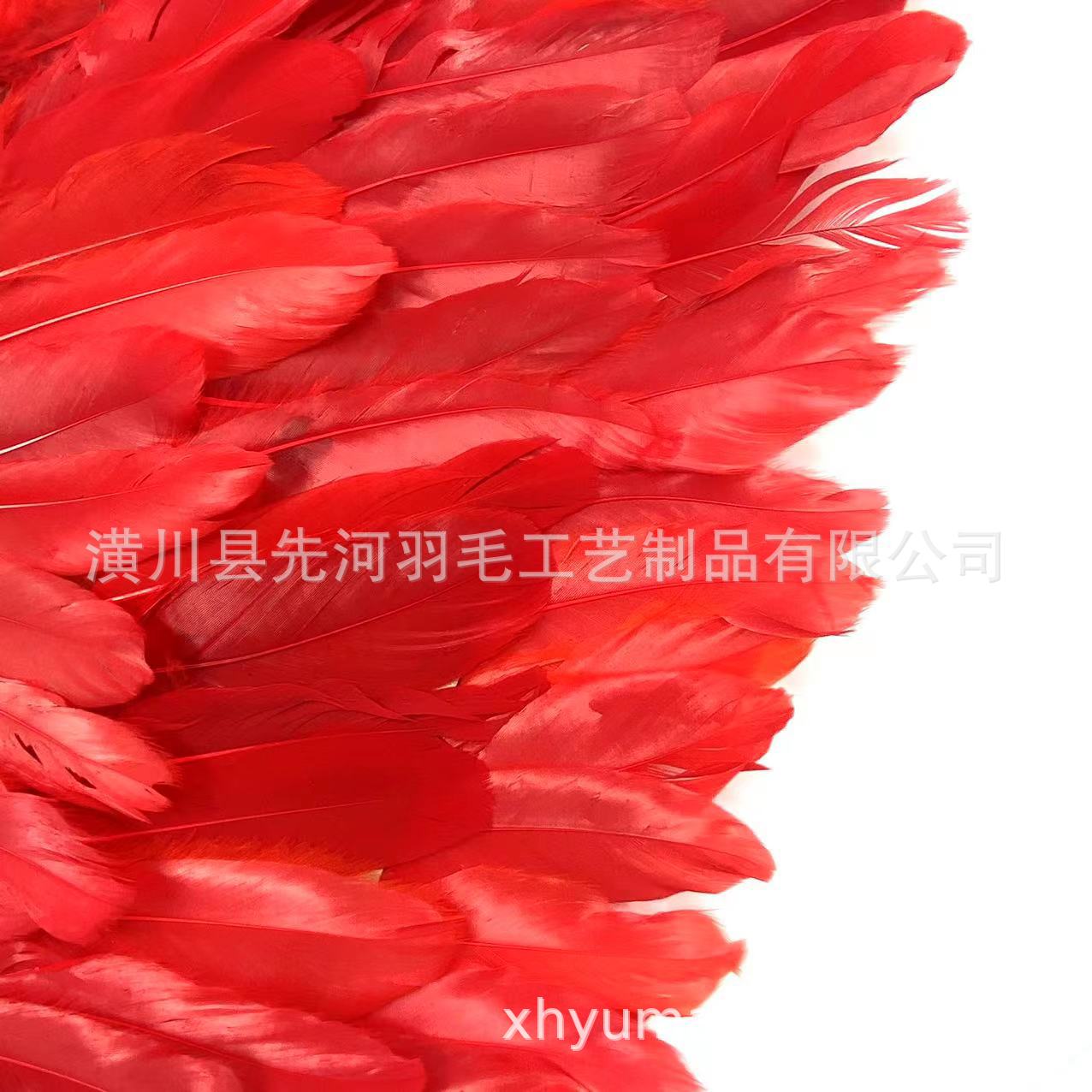 Rainbow-colored butterfly feathers angel wings Halloween Carnival Feather wings stage performance Auto show fashion show pic 14