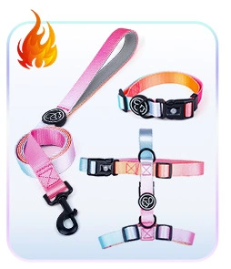 狗狗牵引绳小型犬中大型遛狗绳子渐变色狗链子胸背带宠物用品项圈详情4