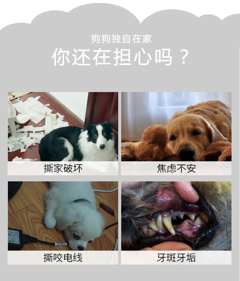 A new set of interactive pet toys for fighting Shiba Inus, featuring teething and biting resistance, from an export-oriented manufacturer pic 4