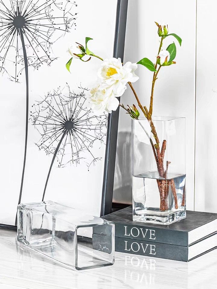 Transparent glass vases, creative and simple living room style, light luxury and water-grown fresh flower arrangements, dried flower ornaments pic 16
